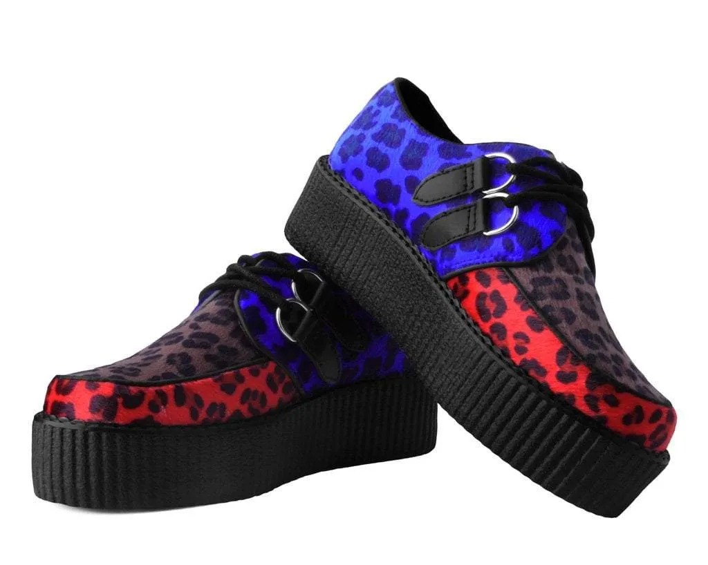Tri-color Leopard Viva Mondo Creeper