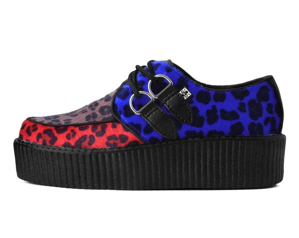 Tri-color Leopard Viva Mondo Creeper