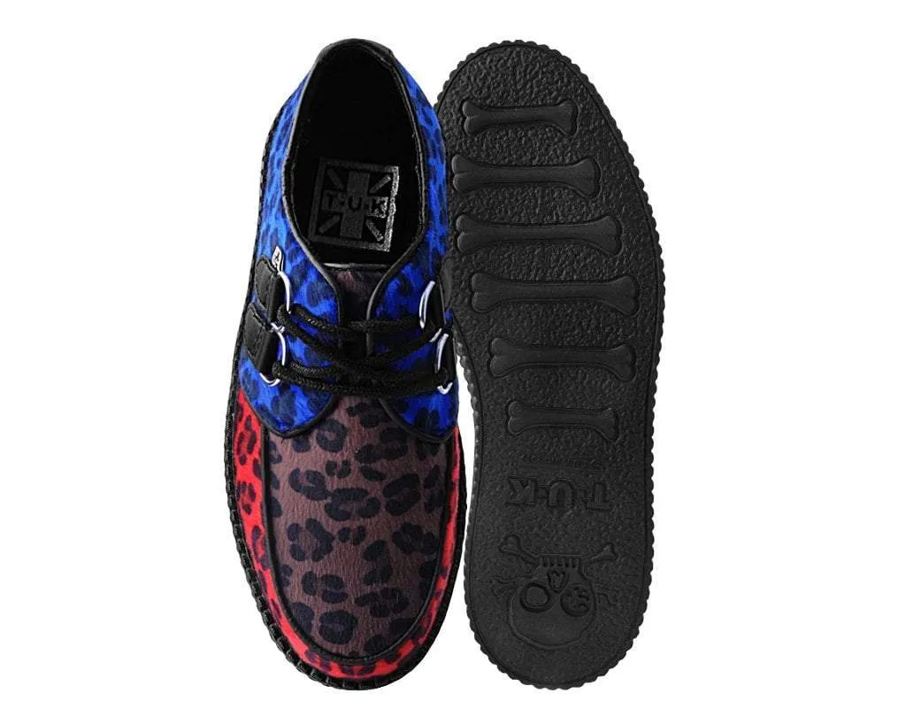 Tri-color Leopard Viva Mondo Creeper
